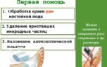 Чем нужно обработать открытые раны?
